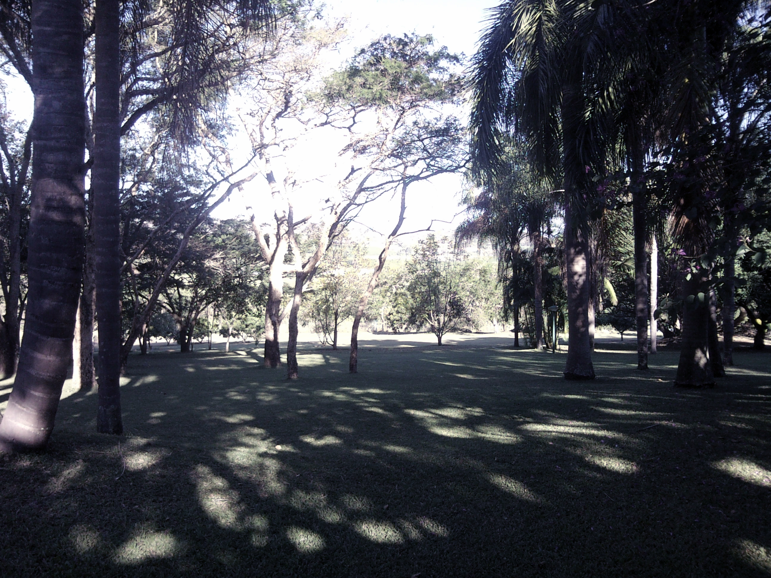 I just want to play something here...