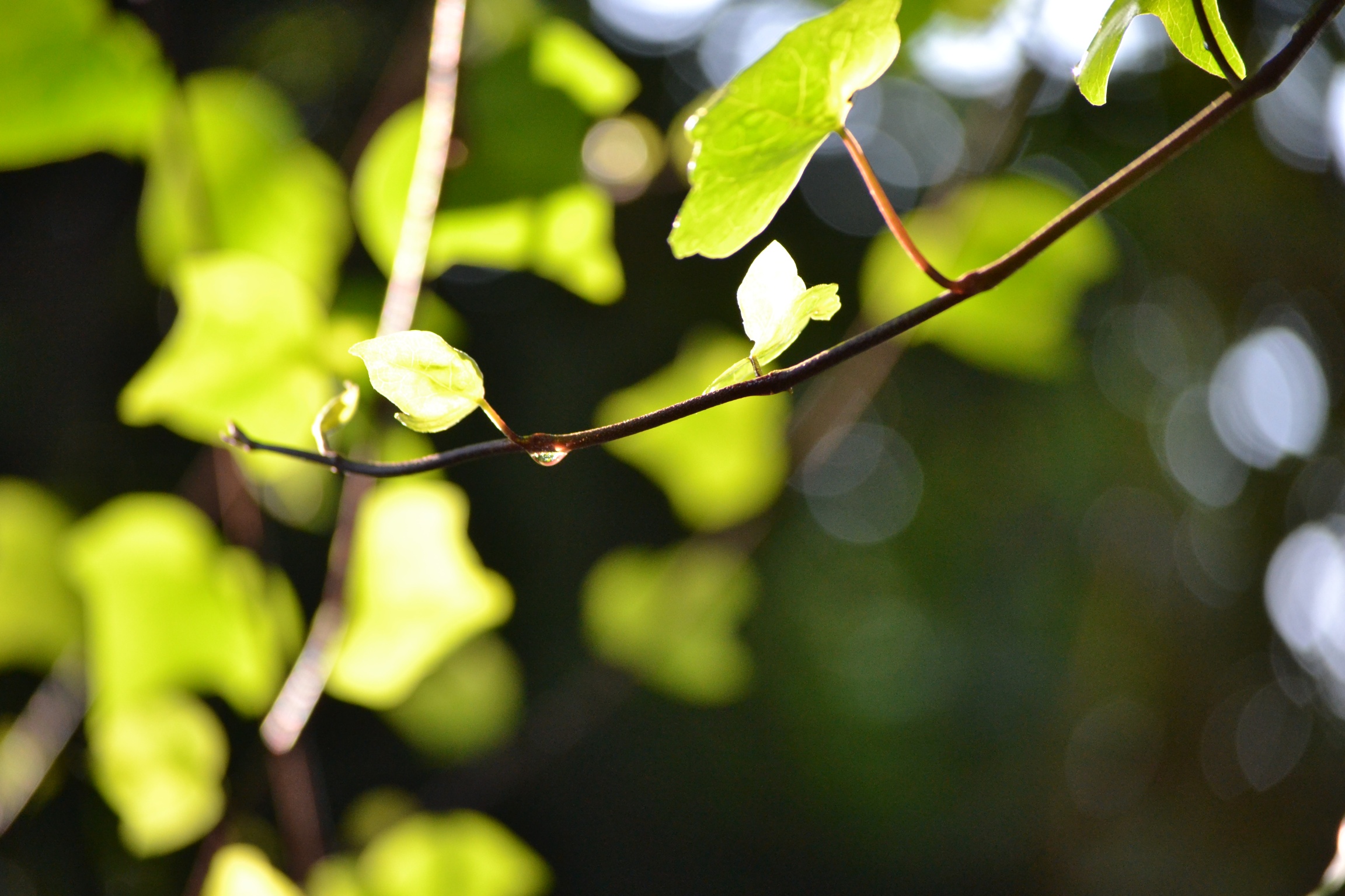 The calm after a storm