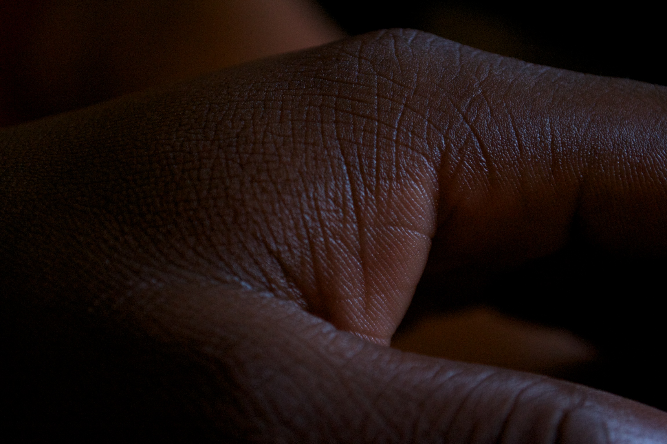 The hand that feeds me...