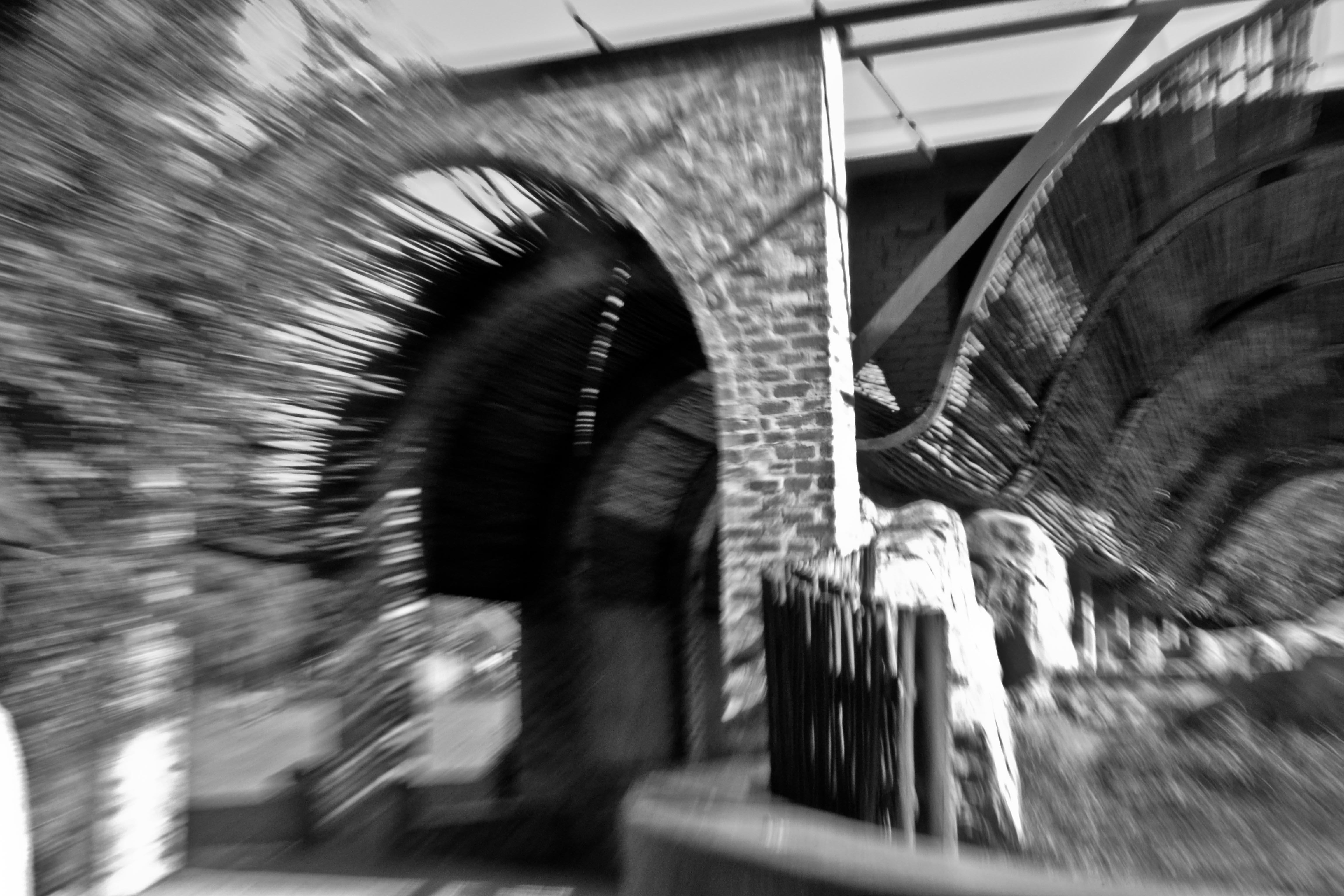 Zoom Burst - Here goes my first attempt