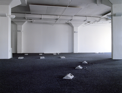 Mr Toledano : Bankrupt