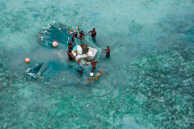 Michael Poliza — Ear on Africa 01