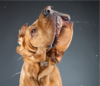 screen shot 2011 08 25 at 3 21 10 pm - png