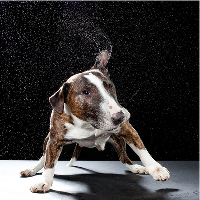 screen shot 2011 08 25 at 3 22 03 pm - png