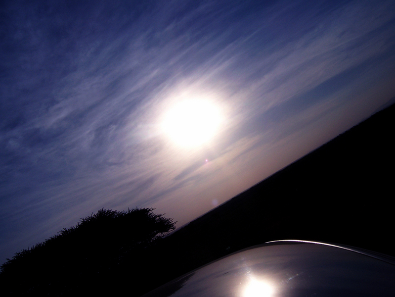 TravellingMan[1]Limpopo