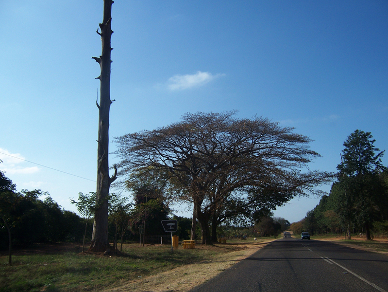 TravellingMan[3]Limpopo
