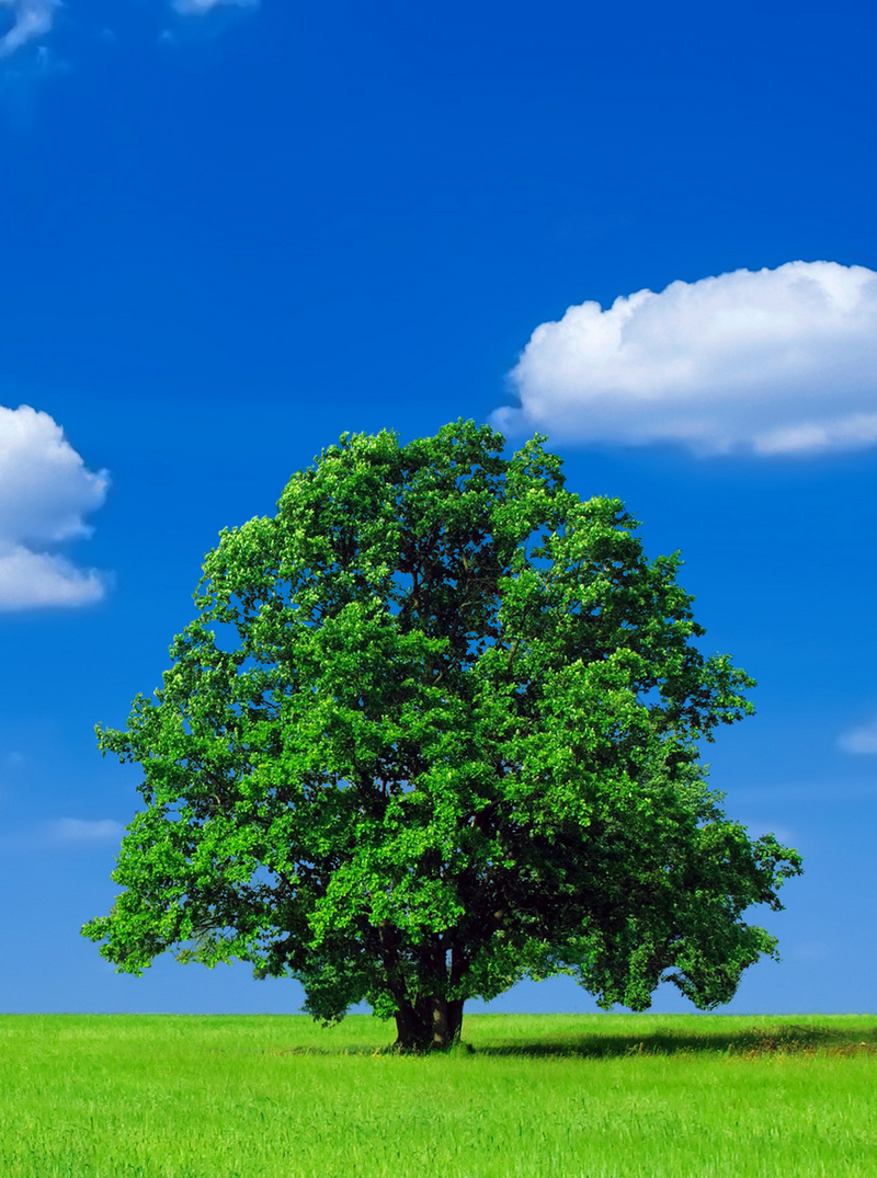 'much much green(er)