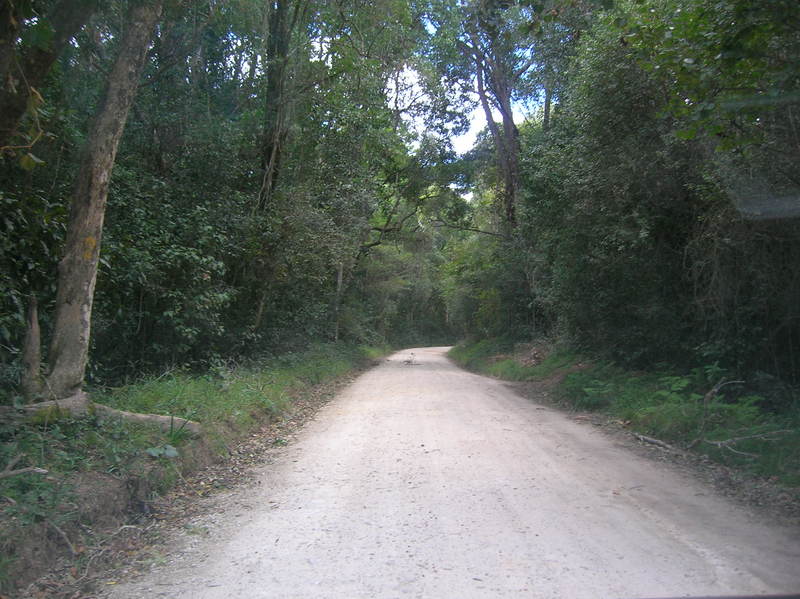 The road is loh-ong...