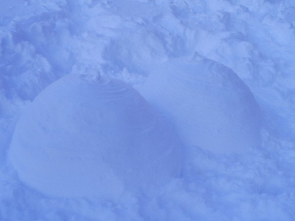 Snow Boobs