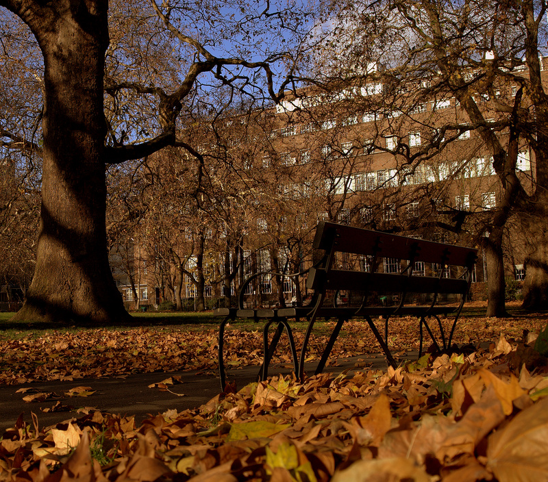 Brunswick Square Garden