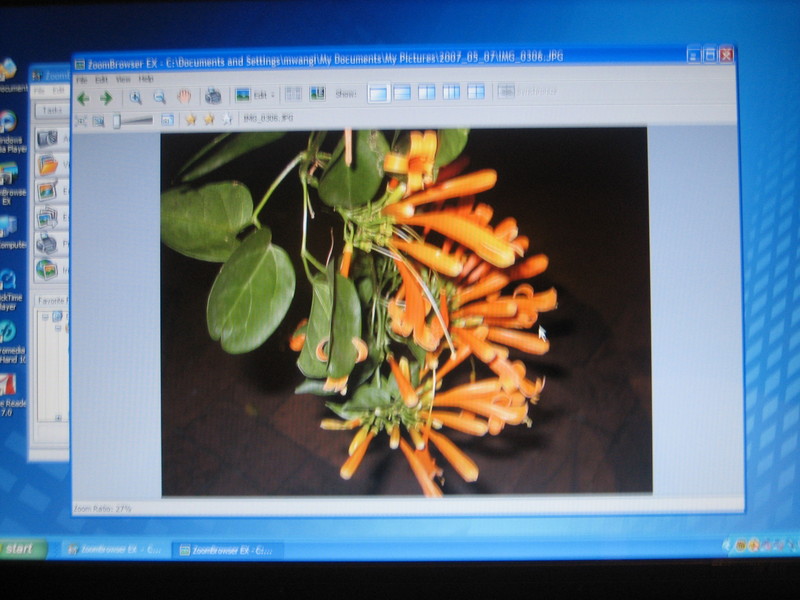 portrait of a picture