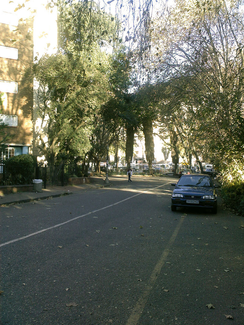 Afternoon in jo'burg