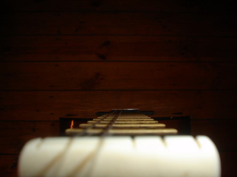 freak*uency[*ses'gingci!]