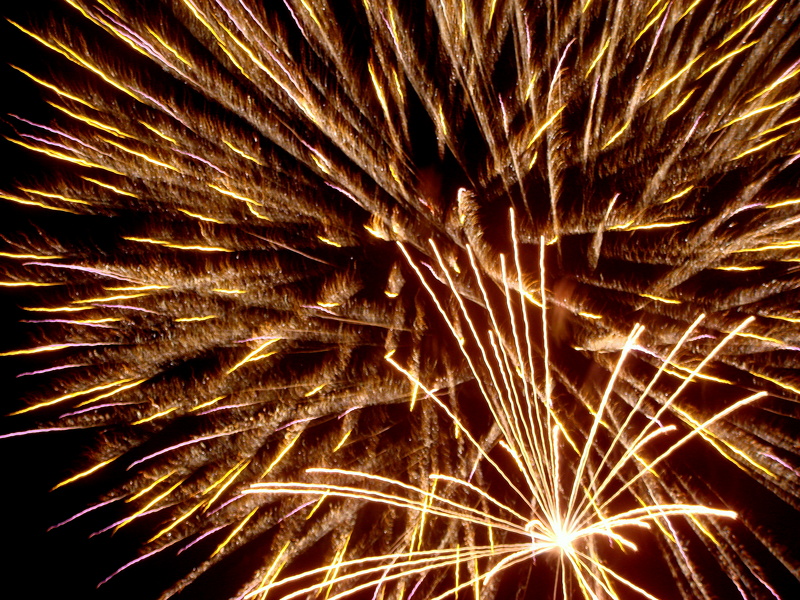 Guy Fawkes - Clapham Common 