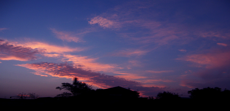 Stalkers Anonymous [3]