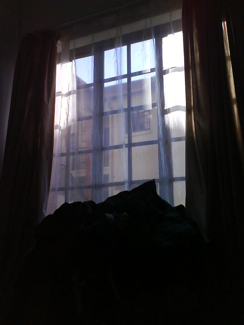 The window of opportunity