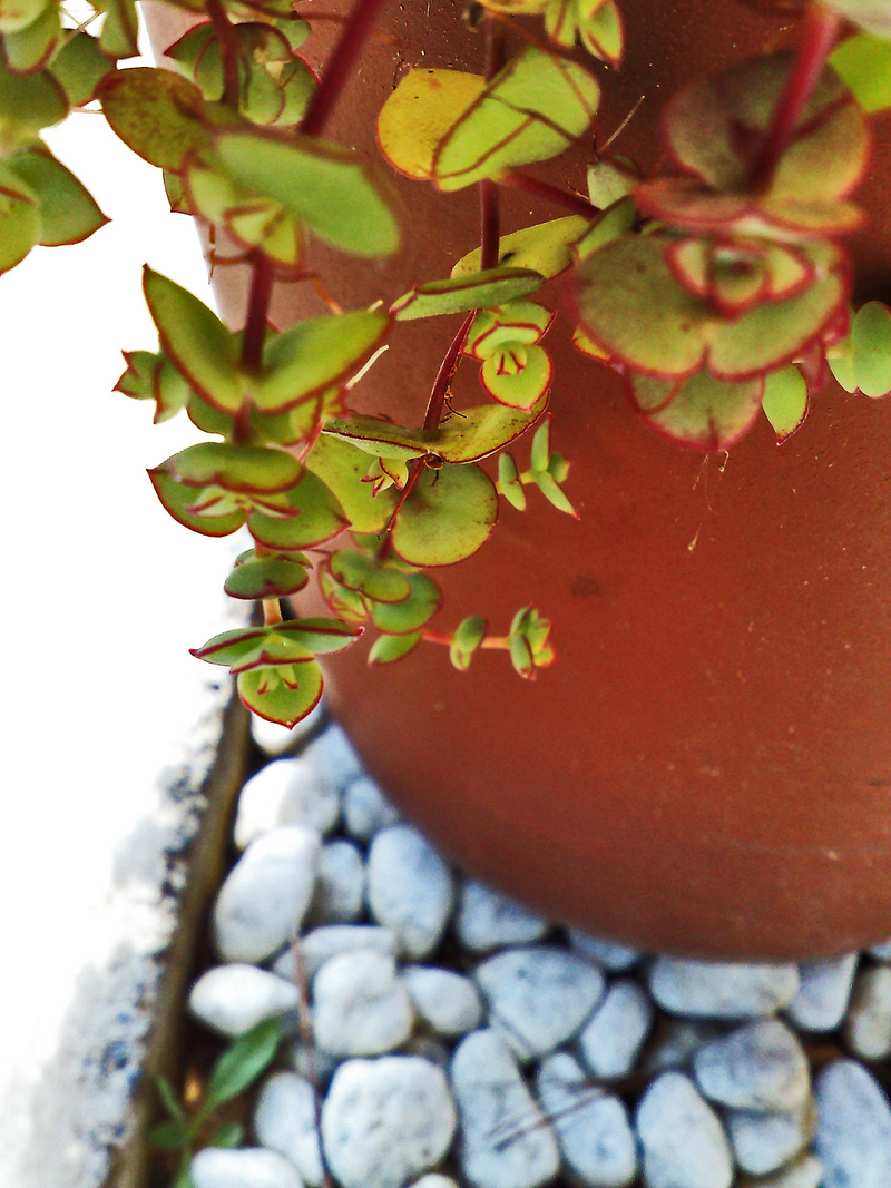 not all'only a little