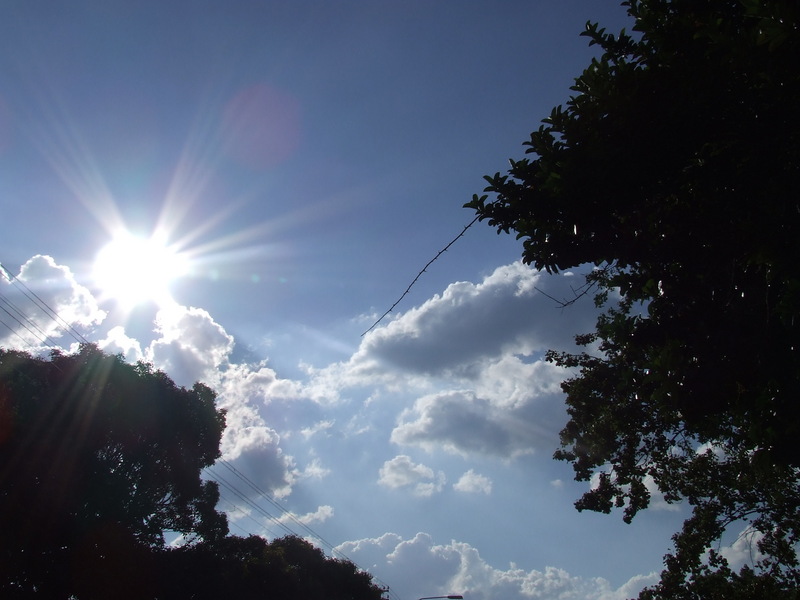 Sunday _ Morning [4]