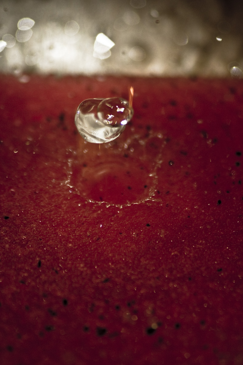 ArtScience (le grand finale)