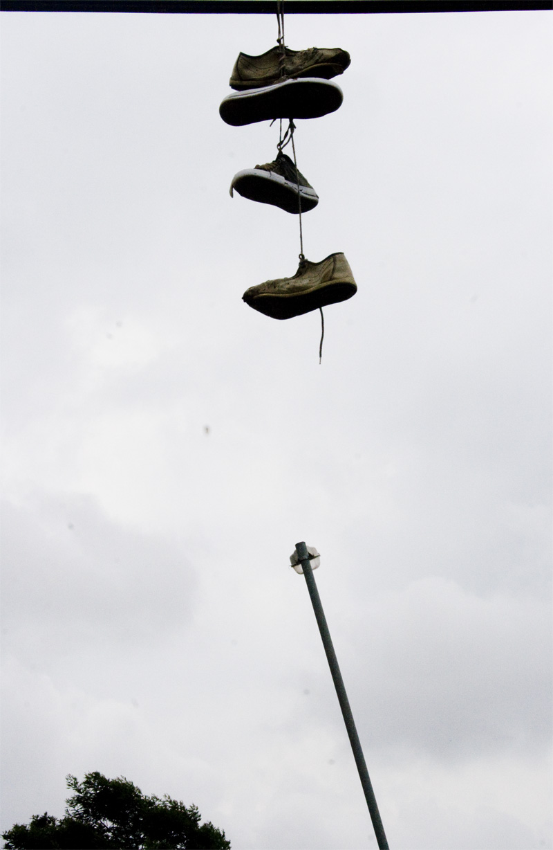 Motsokwana (Memory Stick)