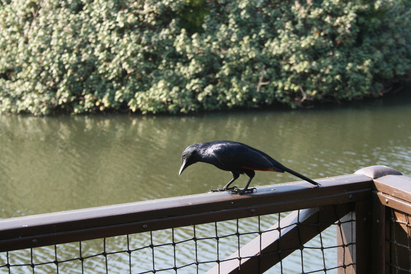 Here's looking at you kid