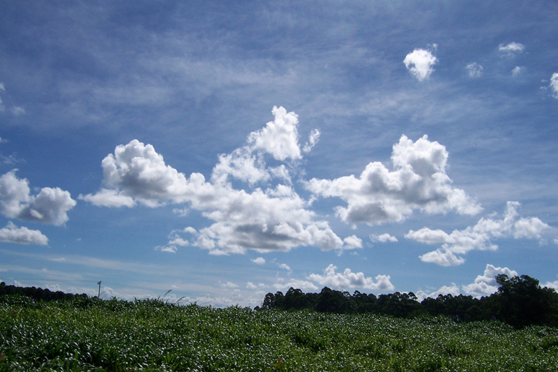 TravellingMan - RoadTrip Mulanje [4]