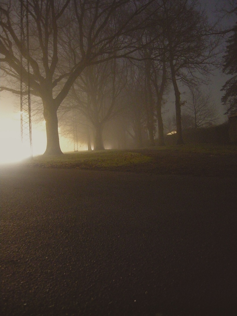 that was morning this is evening