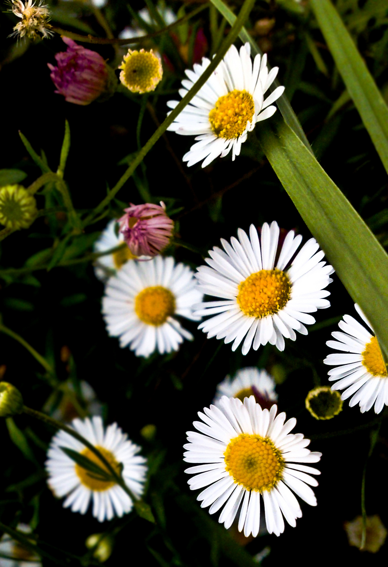 call me pretty one more time, i dare you!