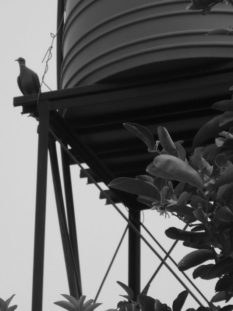 Phake Ratlhagana (4)