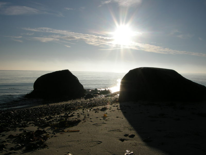 my last image for 2008