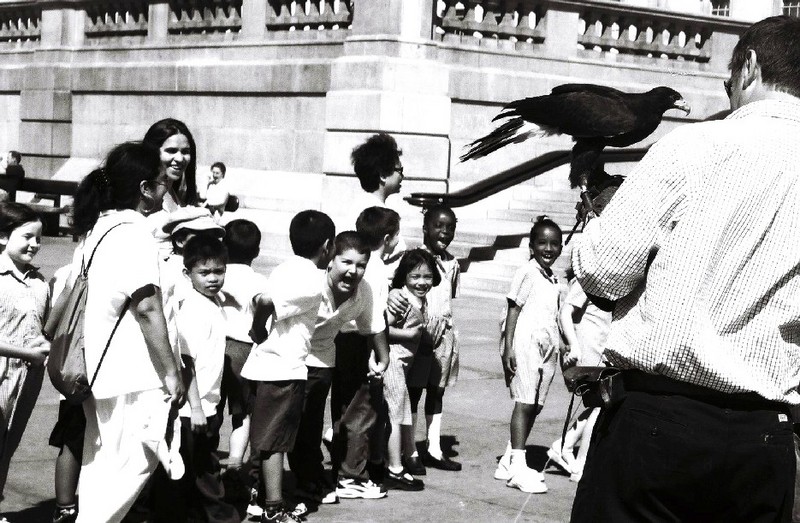 inyon'  iya ndiza...