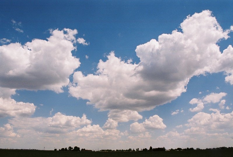 Sunday _ Morning [2]