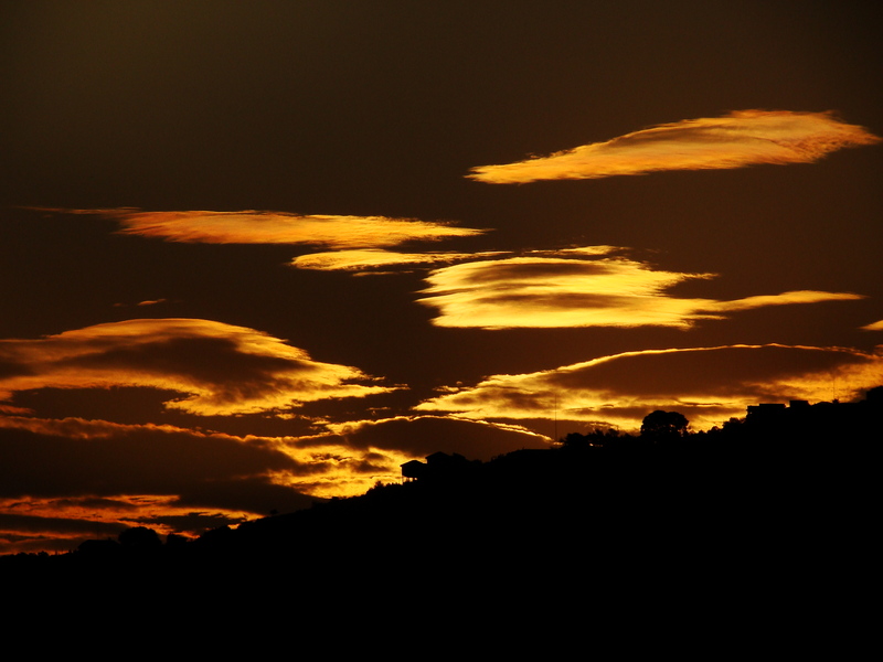 You took it as the truth...