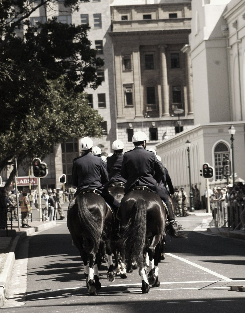 Opening of Parliament 