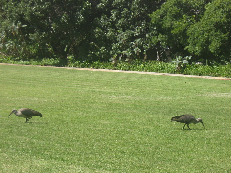 we better of, separated