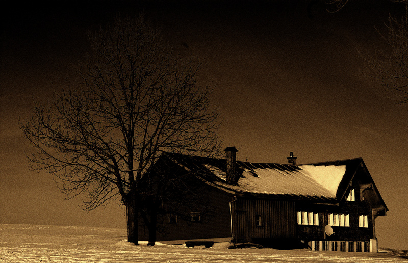 Tree and House in Snow