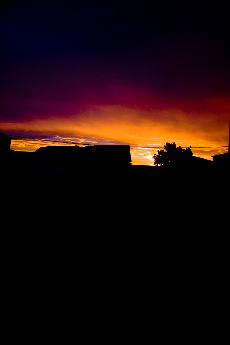 ChasingRainbows[1/1]