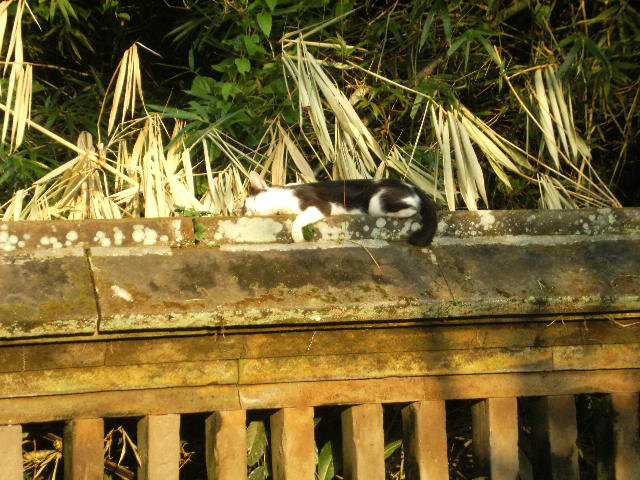 If you don't like it...