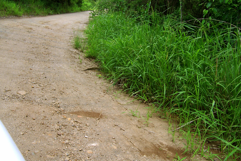 TravellingMan - RoadTrip Blantyre [2]