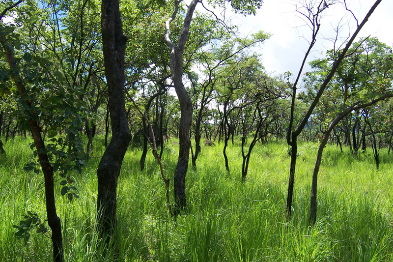 TravellingMan - RoadTrip Blantyre [3]