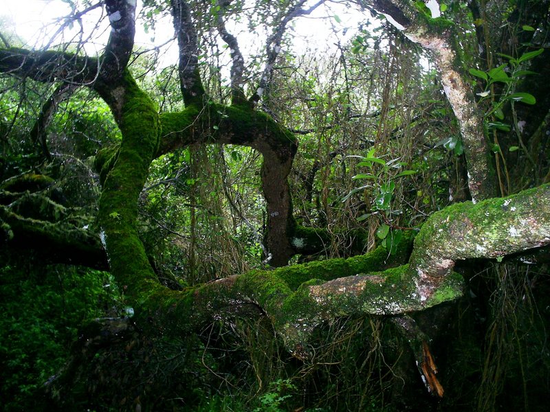 Come Away with me....[03]