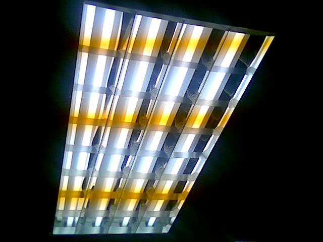 Light (2)