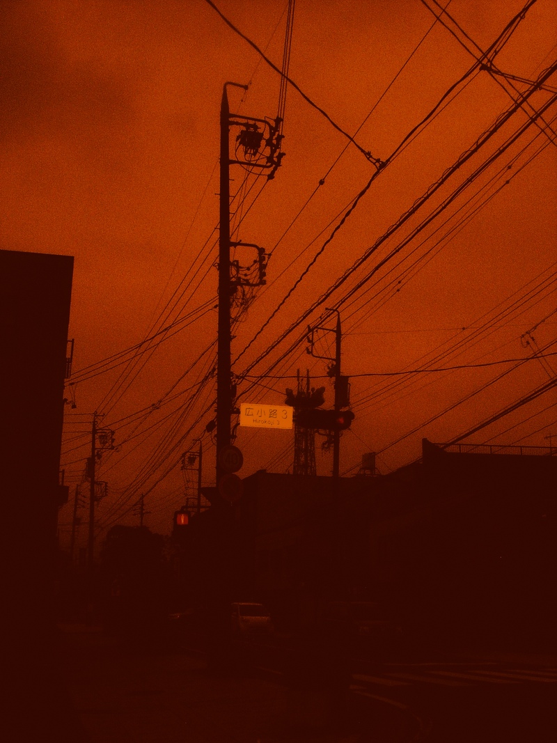 Blood-shed : Shed of Blood