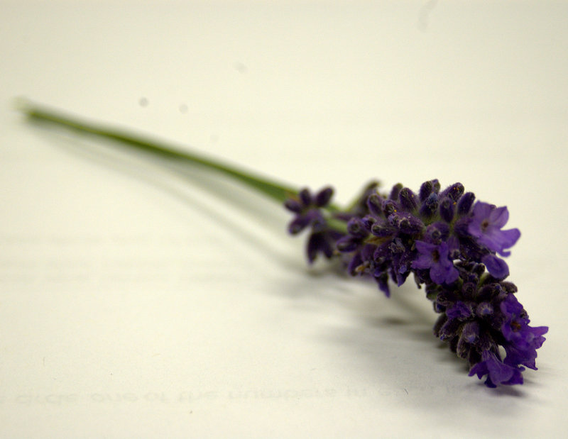 Fading the other way