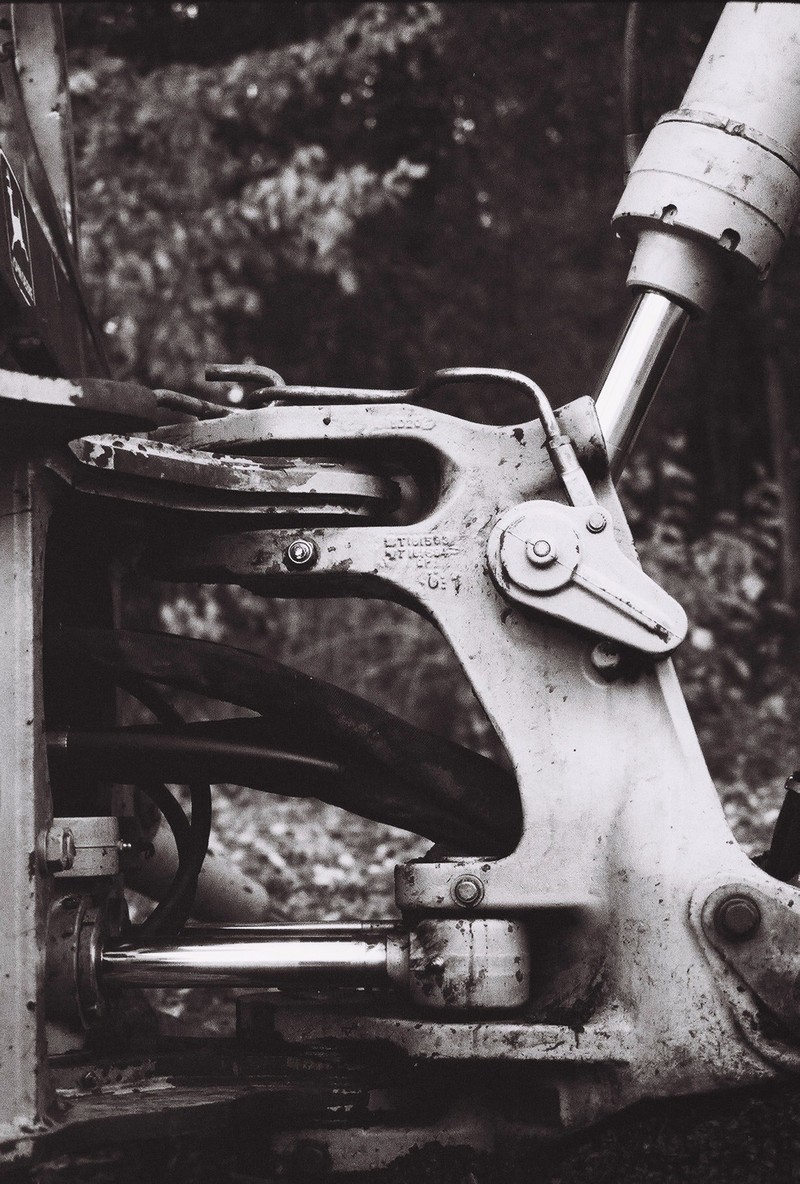 if you ever get close to a human*