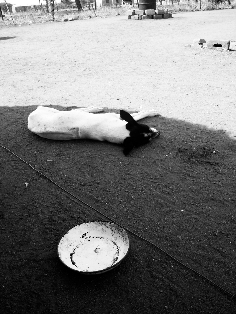 Let sleeping dogs lie.