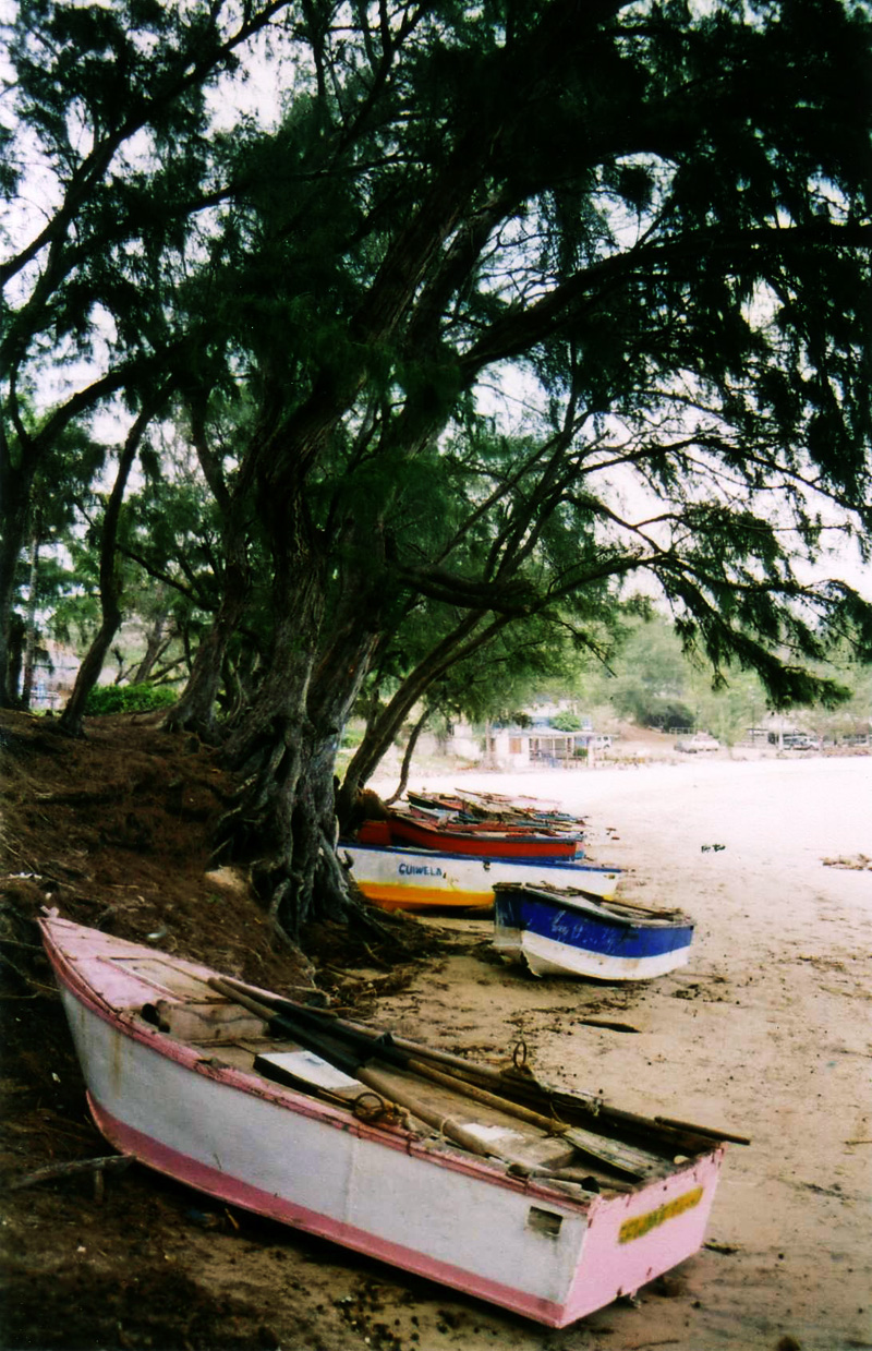 04 Road Tripping Mozambique