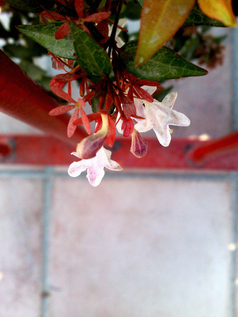 not all'only a little #02