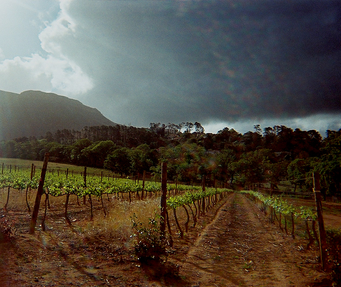 Storm*Brew - Cape Town