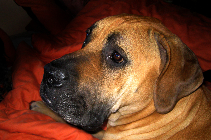 ... Innocent Looking ...